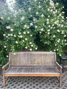 a wooden bench sitting in front of a bush of roses at Flat in Center Teplice in Teplice