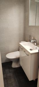 a bathroom with a white toilet and a sink at Ylätori 2A in Vaasa