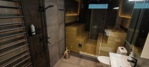 a bathroom with a shower and a toilet and a sink at Ylätori 2A in Vaasa
