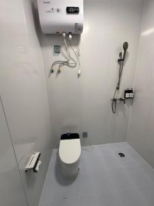a white bathroom with a toilet and a hair dryer at Zarya in Ölgiy