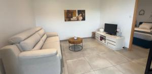 a living room with a couch and a television at Le jardin Désiris - Logement indépendant avec jardin et parking privé in Pézenas