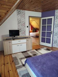 a bedroom with a bed and a tv on the wall at Őrségi Lápréti Vendégház in Szőce