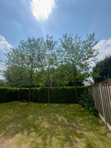two trees in a yard next to a fence at Blackrod Homestay in Blackrod