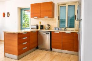 a kitchen with wooden cabinets and a stainless steel dishwasher at Villa Serenity in Neo Chorio +8 photos