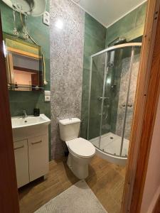 a bathroom with a toilet and a shower and a sink at Pod Lasem in Zwierzyniec +15 photos