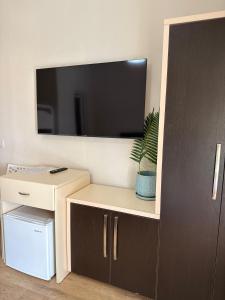a room with a tv and a cabinet with a potted plant at Yamas Hotel "Ex Malibu" in Dhërmi