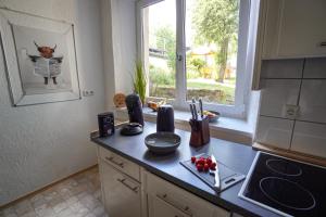 a kitchen with a counter top with a dog in the window at IBS Wohnen in Windischeschenbach +7 photos