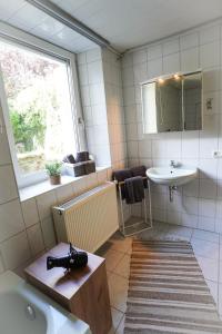 a bathroom with a sink and a mirror at IBS Wohnen in Windischeschenbach