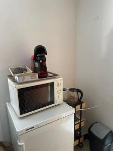 a microwave oven sitting on top of a refrigerator at Dumas St-Germain de calberte in Saint-Germain-de-Calberte