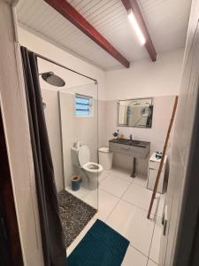 a bathroom with a toilet and a sink at Co and co habitation in Lamentin