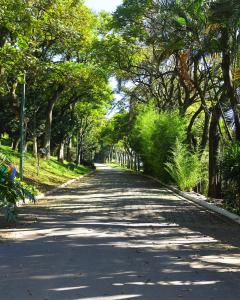 a tree lined road with trees on either side at Hotel Amoreiras in Extrema