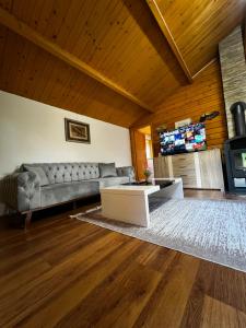 a living room with a couch and a tv at Holiday home Emma in Ripač