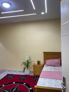a bedroom with a bed and a potted plant at Galle subalbe in Pikine