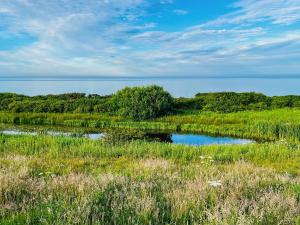 a pond in a field with grass and trees at Solara Breeze in Filey +26 photos