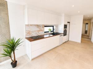 a kitchen with white cabinets and a potted plant at Villa Drago in Antigua