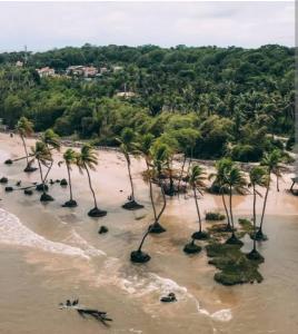 an aerial view of a beach with palm trees at Casa Completa no Centro de Soure com Wi fi e Garagem in Soure