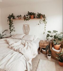 a bedroom with a bed with plants on the wall at The nook in Rāmnagar