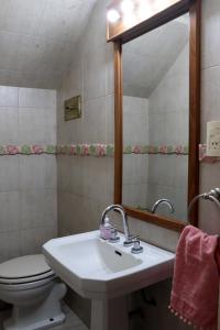 a bathroom with a sink and a toilet and a mirror at Chalet 3 dormitorios MDP in Mar del Plata +14 photos
