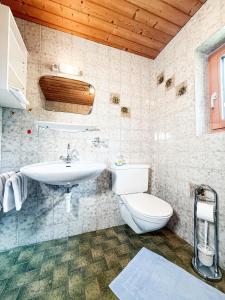 a bathroom with a toilet and a sink at Haus Schönblick in Bschlabs