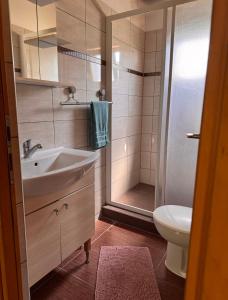 a bathroom with a sink and a shower and a toilet at Holiday home Emma in Ripač +18 photos