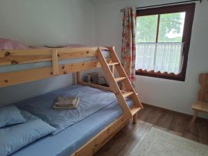 a bedroom with a bunk bed with a ladder at Naprózsa Tanya in Bugac Felső Vasútállomás