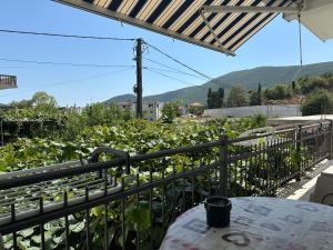 a balcony with a table and a view of a garden at Apartmani Čavor in Budva