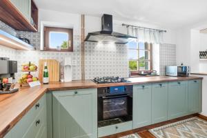 a kitchen with green cabinets and a stove at NatureHouse Čeřeniště in Malečov