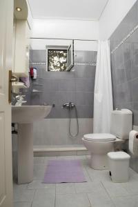 a bathroom with a toilet and a sink and a shower at Evoia Village House in Neokhórion +8 photos