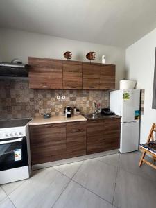 eine Küche mit Holzschränken und einem weißen Kühlschrank in der Unterkunft Diamond house in Khoríon