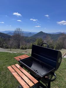 a grill on a picnic table with a view of mountains at Brvnara Jevtic, Tara in Mokra Gora