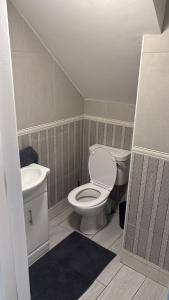 a bathroom with a toilet and a sink at Deel Manor in Eas Géitine