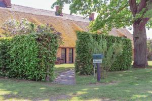 a house with a mailbox in front of a hedge at Ferienwohnung Hasenkate II - Boldevitzer Rügenkaten in Parchtitz