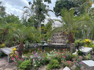 a garden with a fountain and flowers and palm trees at Villa Toscana in Maturín
