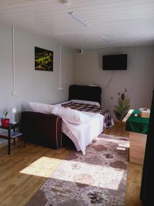 a bedroom with a bed and a flat screen tv at Căsuțele De Sub Codru in Colacu