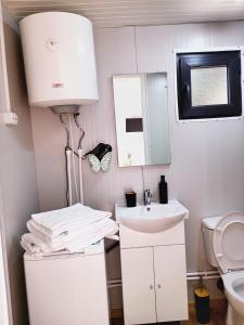 a small bathroom with a sink and a toilet at Căsuțele De Sub Codru in Colacu +50 photos