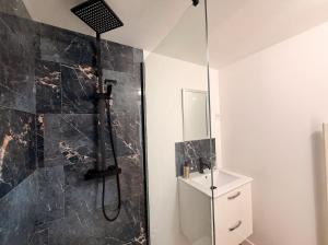 a bathroom with a shower and a sink at Le Clos des Douves - Jardin privatif - Ingrandes in Ingrandes +16 photos