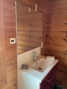 a bathroom with a sink and a mirror at Chalet airelles in Saint-Pierre +25 photos