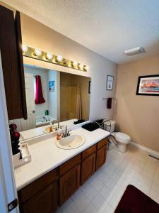 a bathroom with a sink and a toilet and a mirror at Be our Guest in Sevierville +56 photos