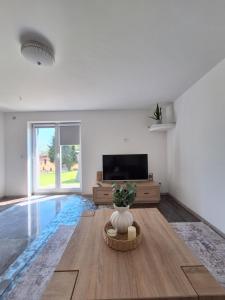 a living room with a television and a vase with a plant at Apartament Alicja in Chmielno