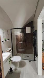 a bathroom with a shower and a toilet and a sink at Mirador in Beja +11 photos
