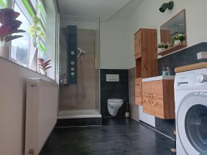 a bathroom with a toilet and a washing machine at Horstis Fewo Apartment Reni in Frankenhain