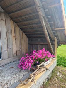a flower box with pink flowers in it at Grandma's Attic in Saraiķi +5 photos