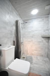 a bathroom with a white toilet and a shower at ARBAT house LUXURY in Arbatʼ +26 photos