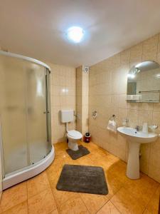a bathroom with a shower and a toilet and a sink at Pensiunea Turistică Octavian in Moroeni