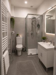 a bathroom with a shower and a toilet and a sink at B&B Jasmine Park Ormea in Ormea
