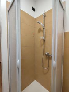 a shower with a glass door in a bathroom at Agriturismo L'Olivastro in Pollutri