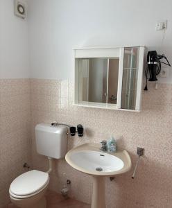 a bathroom with a toilet and a sink and a mirror at Apartments & Rooms Ribarić in Lovran