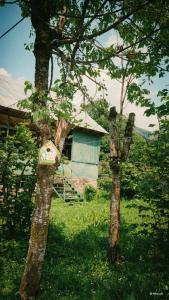a couple of trees with a house in the background at Beghela in Glola