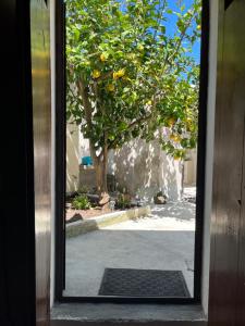 a view of a tree through a door at Prendas Paulilatino in Paulilatino +19 photos