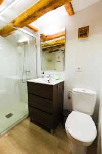 a bathroom with a toilet and a sink and a shower at Casa Rural LA COSTANILLA in Lituénigo